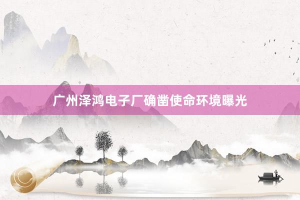 广州泽鸿电子厂确凿使命环境曝光
